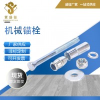 機(jī)械錨栓 304 316不銹鋼化學(xué)錨栓 械錨栓 后擴(kuò)式錨栓