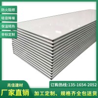 廠家批發中空玻鎂手工凈化板 手工玻鎂夾芯彩鋼板 中空玻鎂板定制