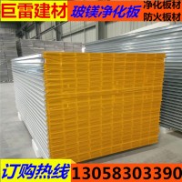 廠家直銷 玻鎂夾芯板 凈化車間 醫(yī)療機(jī)構(gòu)玻鎂板 彩鋼玻鎂板