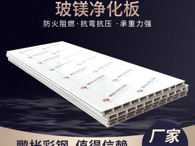 廠家玻鎂彩鋼手工彩鋼凈化板阻燃隔熱鋼芯巖棉保溫板 凈化板