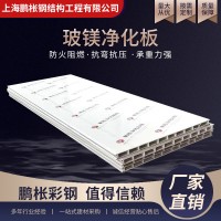 廠家玻鎂彩鋼手工彩鋼凈化板阻燃隔熱鋼芯巖棉保溫板 凈化板