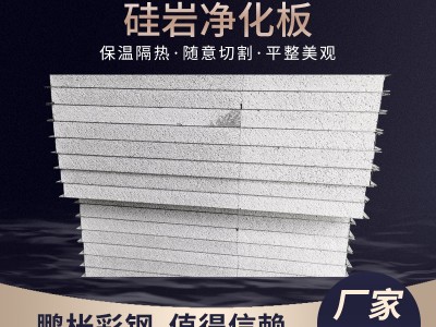 供應(yīng)硅巖凈化板巖棉彩鋼板保溫隔熱板材不銹鋼硅巖夾芯板硅巖板