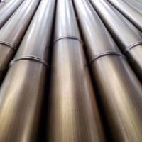 供應(yīng)四川不銹鋼201仿竹節(jié)管 動物園熊貓公園仿竹子景觀燈飾用管