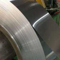 不銹鋼帶 304精密鋼卷 彈簧片 0.1 0.2 0.3mm 定制切割墊片