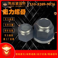 帶墊扭力螺母自帶墊煤礦用螺母高強度煤礦錨桿螺母帶墊扭力螺母