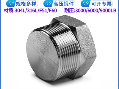 批發 外六角實心堵頭 NPT耐400KG高壓管件 304/316L絲牙螺紋堵頭