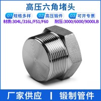 批發(fā) 外六角實心堵頭 NPT耐400KG高壓管件 304/316L絲牙螺紋堵頭