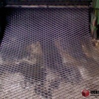 暖男行動 山東鋼板網(wǎng)護欄網(wǎng)廠家，價格——玥池