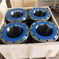 超薄大型風電碳鋼不銹鋼法蘭 ASME EN1092 合金不銹鋼法蘭