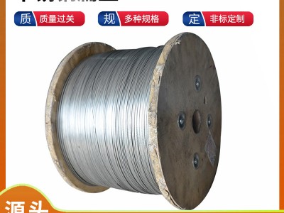 廠家供應201不銹鋼扁絲 304不銹鋼彈簧線材不銹鋼光亮絲