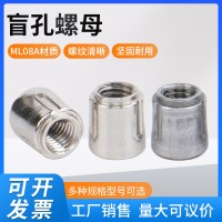現貨供應 盲孔螺母不銹鋼平頭螺桿接頭螺母配件零件多規格可制作
