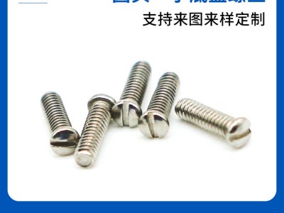 【源頭工廠】定制加工304/316不銹鋼圓頭一字電子鐘表眼鏡螺絲