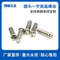 【源頭工廠】定制加工304/316不銹鋼圓頭一字電子鐘表眼鏡螺絲