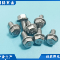 廠家直供外六角法司螺絲外六角帶墊法蘭螺絲防滑外六角法蘭面螺栓