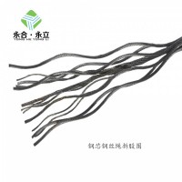 高盛 電梯門機(jī)鋼絲繩3.18mm油絲繩6x19-WSC