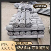 供應截斷鋁包鋼絲2.2mm熱鍍鋅鋼絲葡萄園拉線鋼絲避雨棚地錨鋼絲