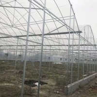薄膜連棟溫室 種植溫室大棚 農(nóng)業(yè)薄膜大棚 廠家供應(yīng)