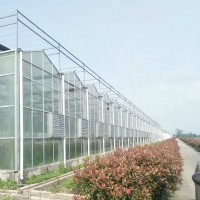 玻璃溫室 茶葉溫室大棚瓜果養(yǎng)殖溫室大棚 廠家供應(yīng)