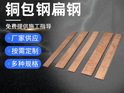 銅包鋼扁鋼 鍍銅扁鋼 防雷接地鍍銅排 銅包鋼扁鐵 銅包鋼扁鋼