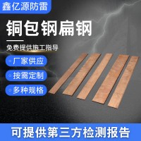 銅包鋼扁鋼 鍍銅扁鋼 防雷接地鍍銅排 銅包鋼扁鐵 銅包鋼扁鋼