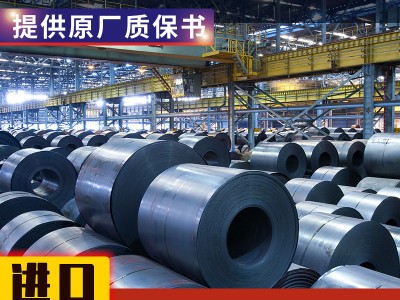 德國進口1.4563現貨鎳合金Sanicro28原廠質保00cr27ni31Mo3Cu悅廷