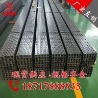 廠家直銷 41*41*2.5 熱鍍鋅c型鋼配件齊全 沖孔c型鋼量大 從優