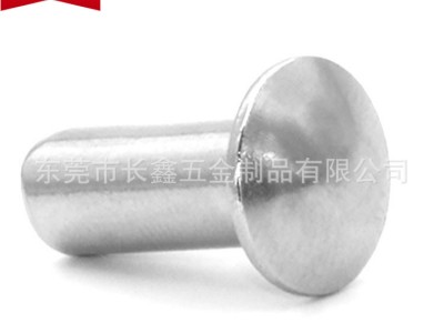 廠家不銹鋼扁頭圓頭實心鉚釘蘑菇頭窩釘圓頭銷釘Φ2-Φ8長度3-100