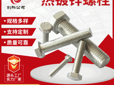 不銹鋼高強度螺絲螺栓廠家定做 4.8級白色鍍鋅不銹鋼外六角螺栓