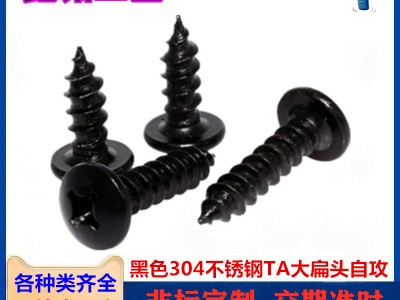 黑色304不銹鋼十字大扁頭自攻螺絲TA黑鋅蘑菇頭自攻螺釘M3-M4M5 M6