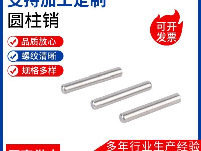 304不銹鋼實(shí)心圓柱銷軸定位銷固定銷定位銷釘不銹鋼實(shí)心銷